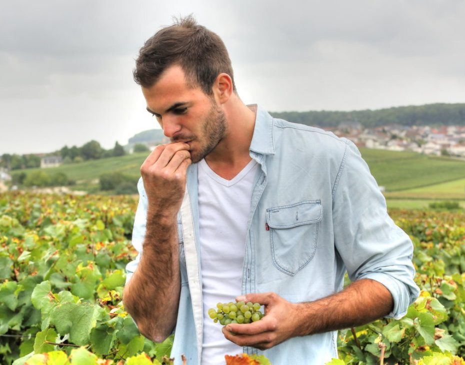 Adrien Dhondt-Grellet